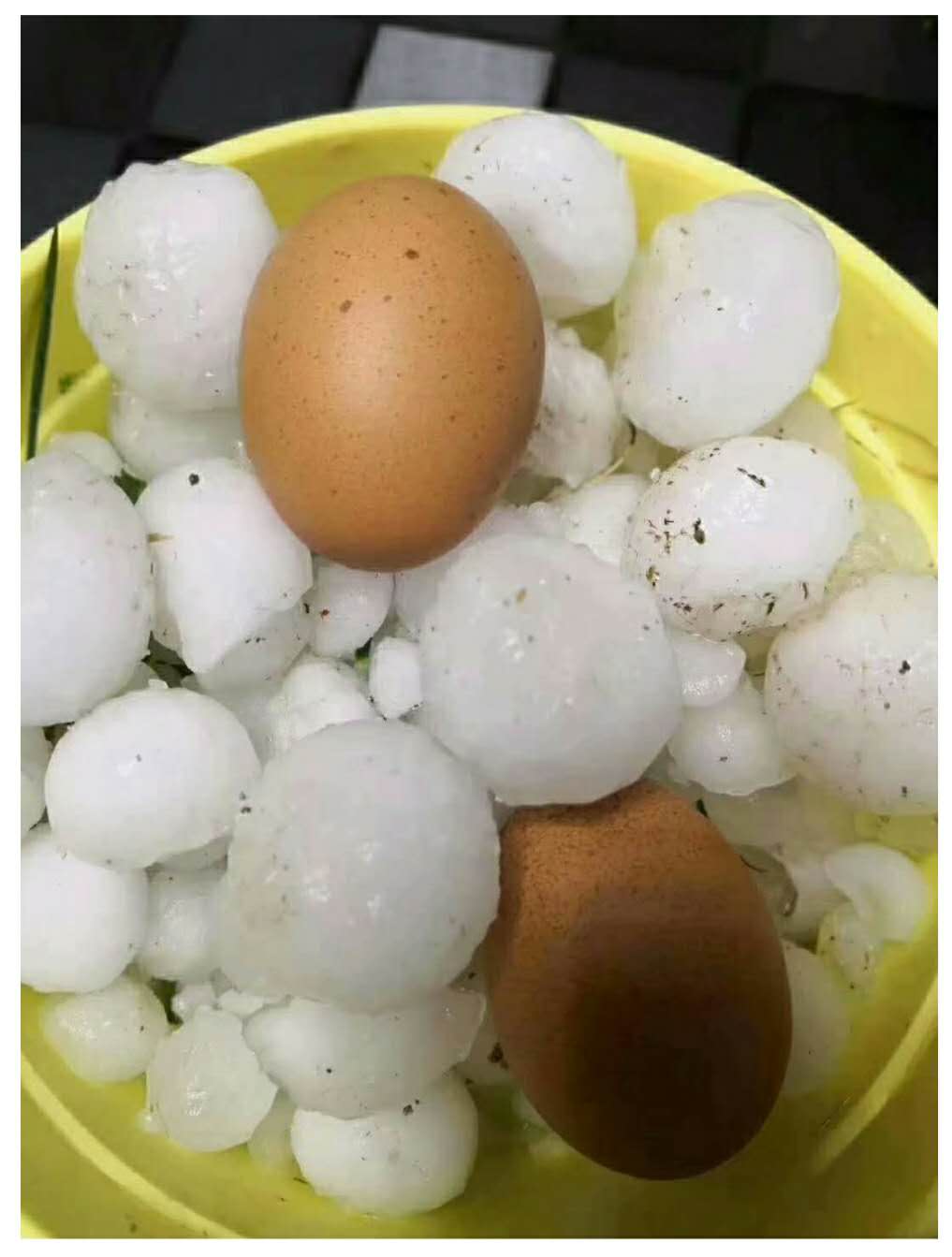 甘(gan)肅發生(shēng)冰雹災(zāi)害