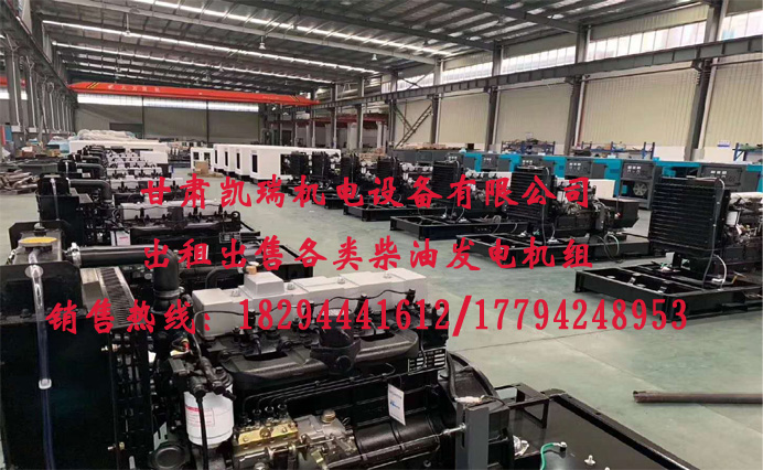 甘肅玉柴柴(chái)油發電機組廠(chang)家