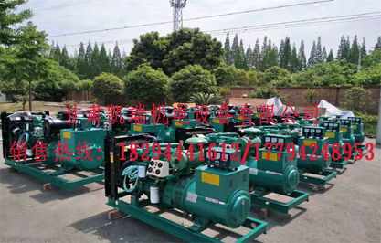 蘭州(zhou)柴油發電機組價(jià)格