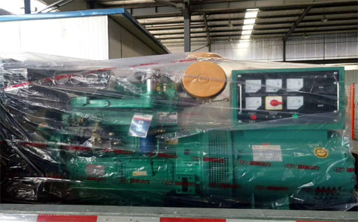 甘(gān)肅發電機性能(neng)